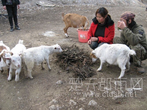 湖北女子穴居绝壁六年, 80后富豪夫妻隐居深山兄妹成野人照片