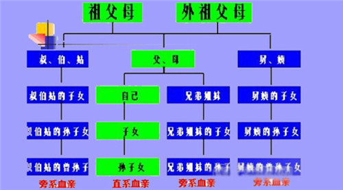 人口垂直分布_读 世界人口垂直分布 状况图 .世界人口纬度分(3)